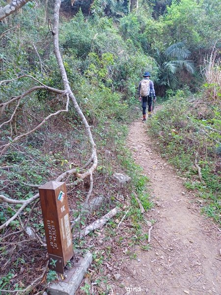 【屏東獅子鄉】海天一色。 台灣百大必訪步道~里龍山自然步道_2550727