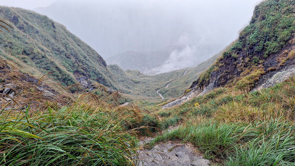 20251019 苗圃-七星山-小油坑_2921129
