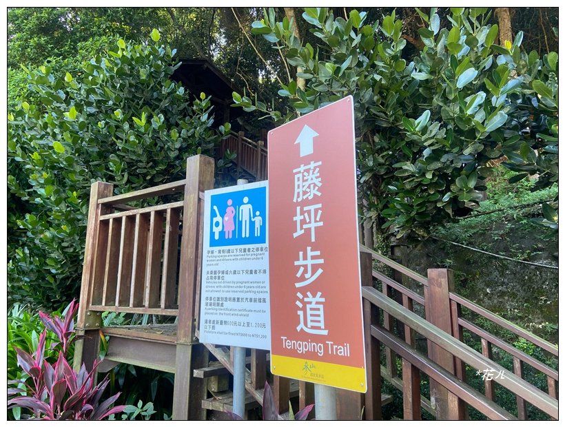 藤坪步道、猿山連走_2601575