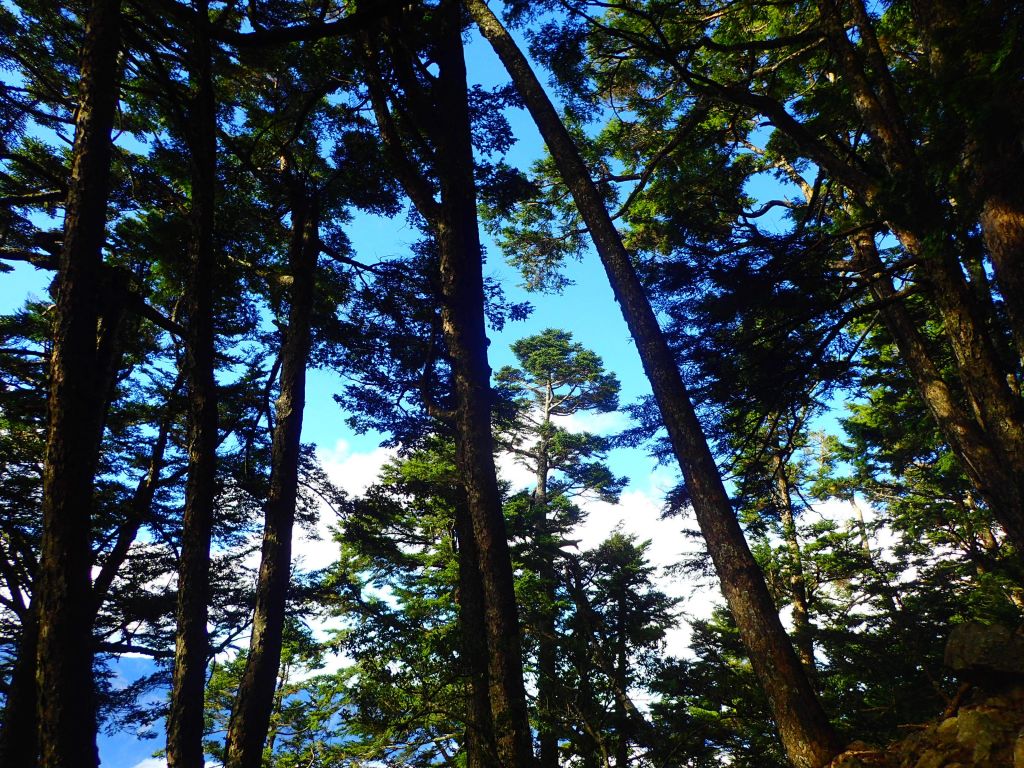 北一段 南湖前四峰_378273