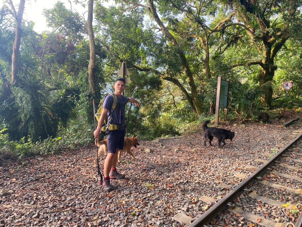 阿拔泉山.觀音石山.紅南坑山.獨立山【在山中遇見最高水準的公民素養】_2656284