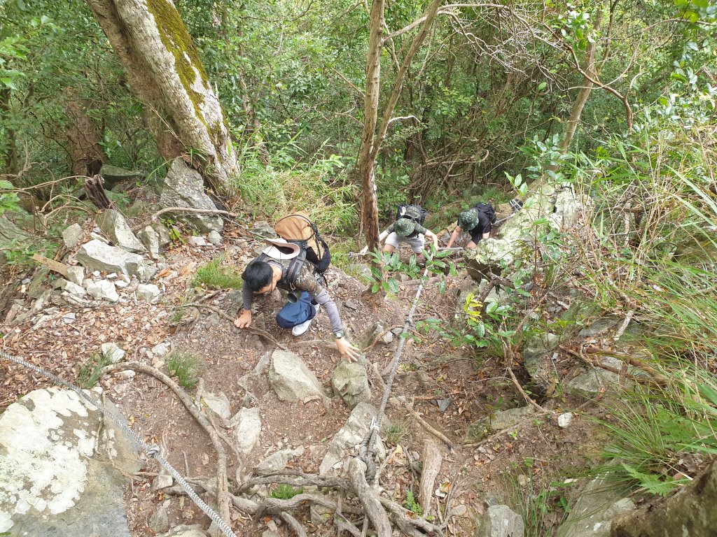麗陽上屋我尾山_2683120