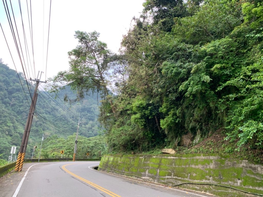 苗栗向天湖步道。_560115