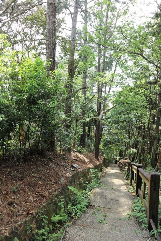 〔苗栗獅潭〕鳴鳳古道 ，南隘勇 延平 綠色古道，三湖山 〔新竹秀巒〕軍艦岩步道_2143846