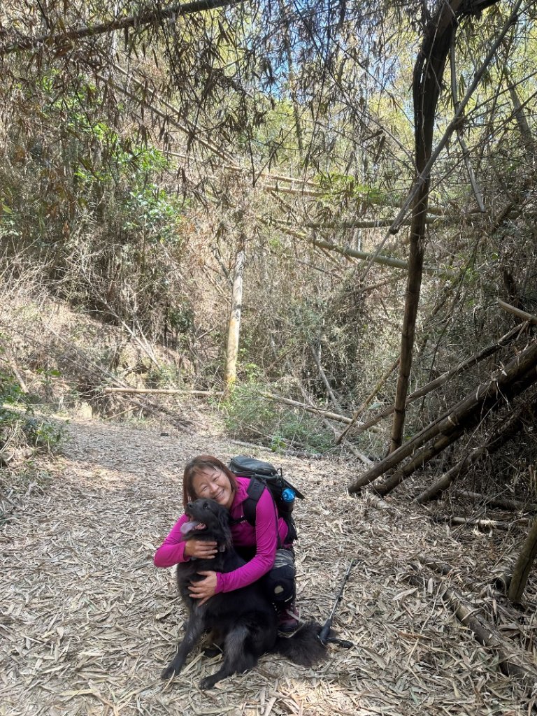 高雄美濃月光山_2734914