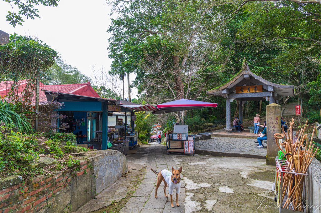 [苗栗]獅頭山_2652911