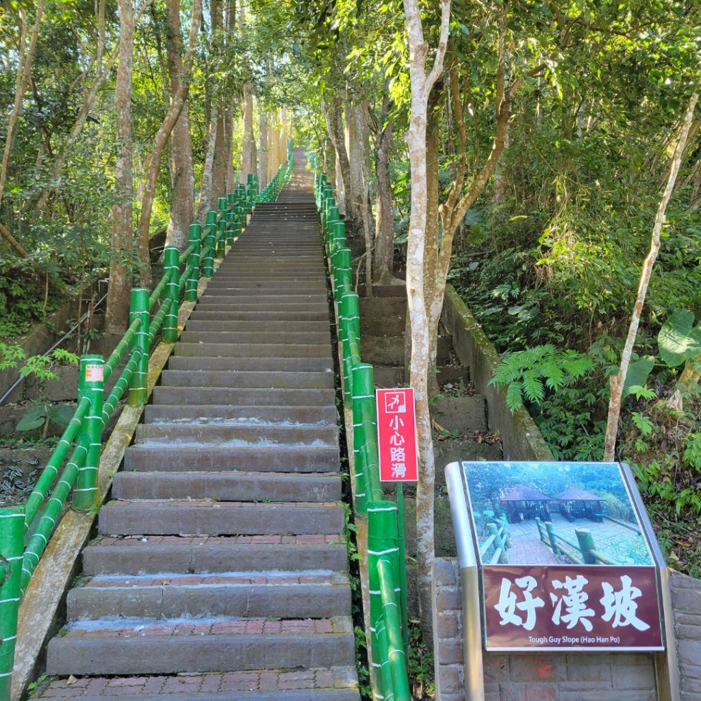 鳳凰谷步道_1965930