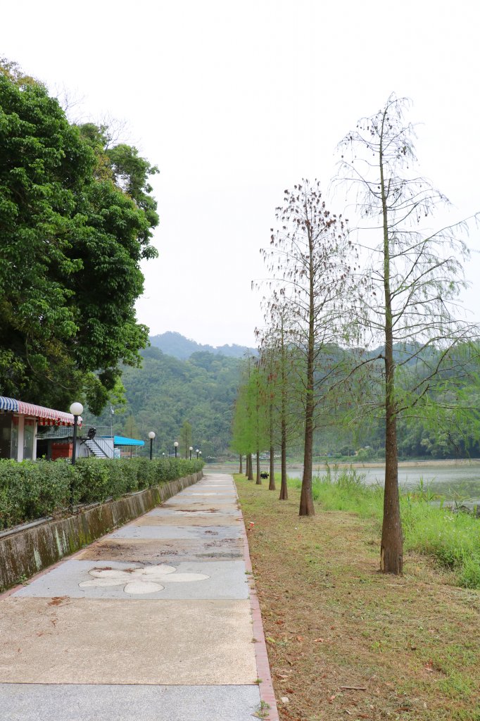 苗栗頭屋~湖畔悠悠好閒情~明德水庫海棠島_888560