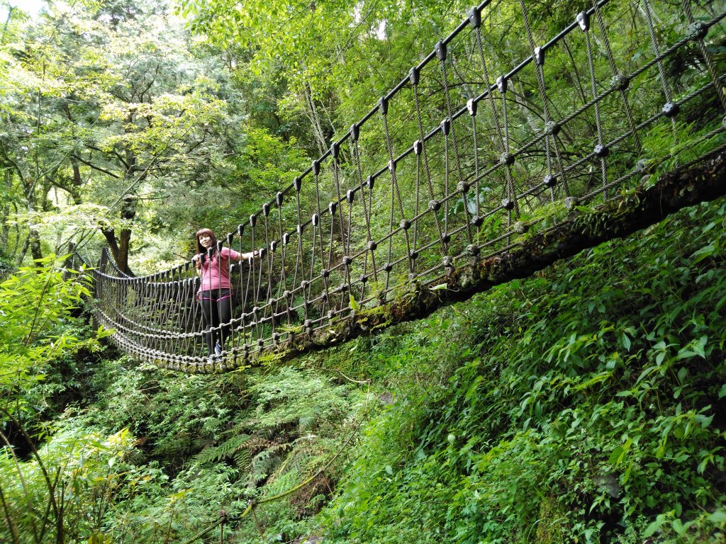 新竹檜山巨木群步道_982159
