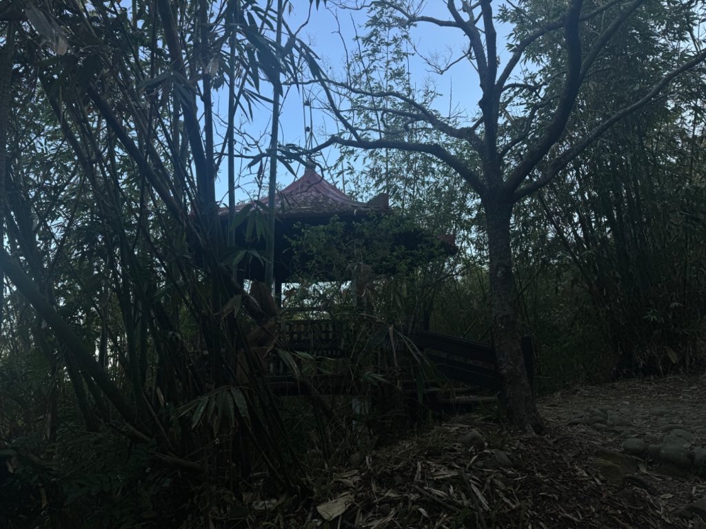 台南市白河區、嘉義縣大埔鄉交界，小百岳63號大棟山ㄧ等三角點_2428569