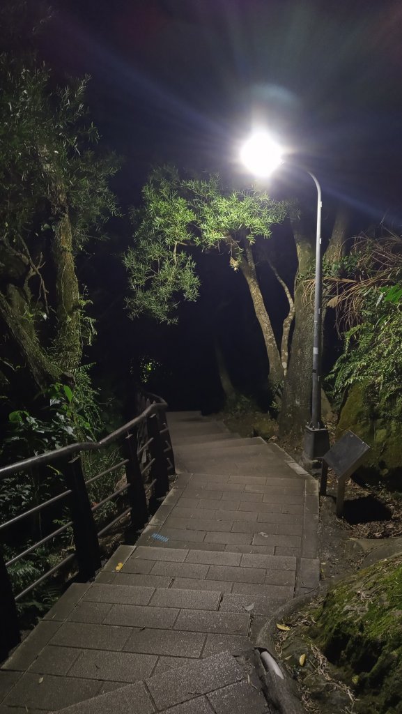 獨推夜訪仙跡岩_883436