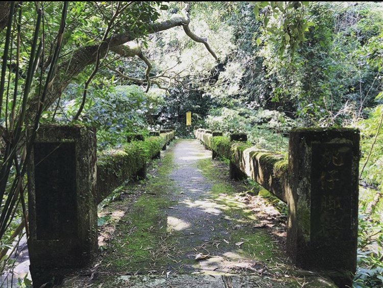 坪林古圳封面圖