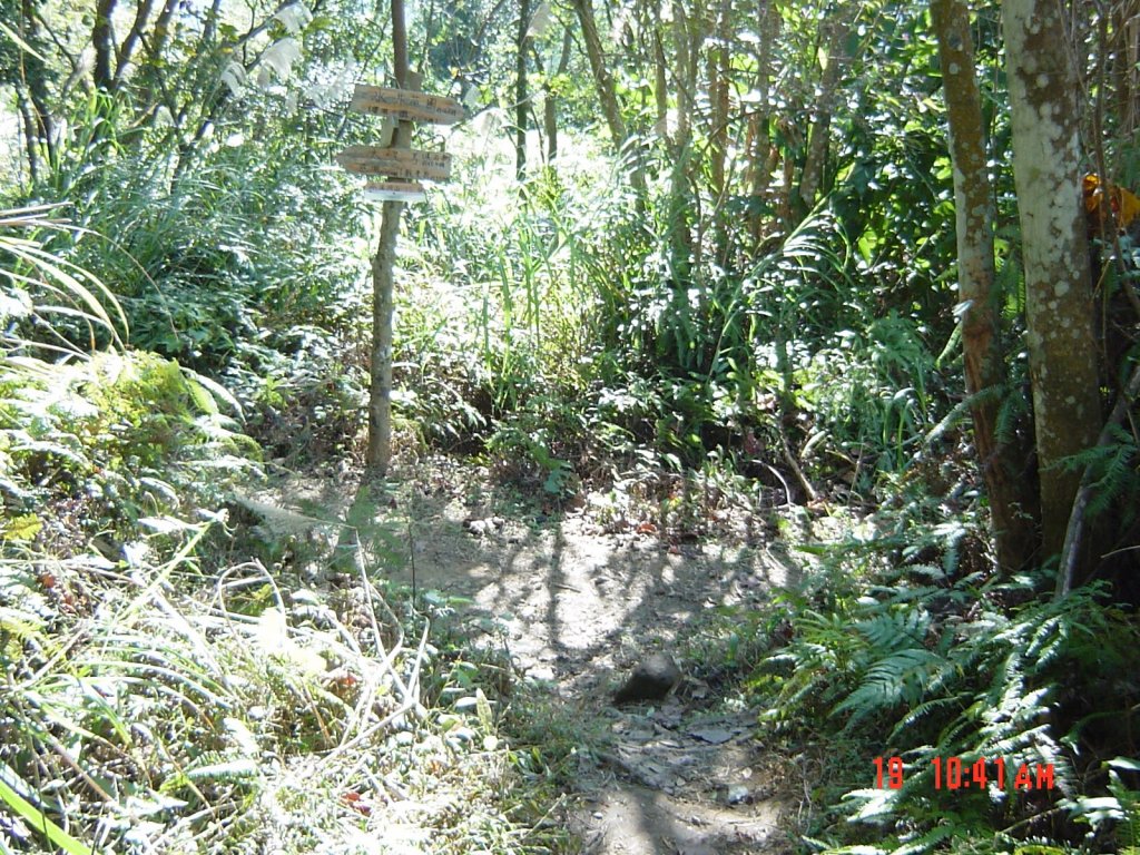 溪洲山&大艽芎古道2006219_1957961