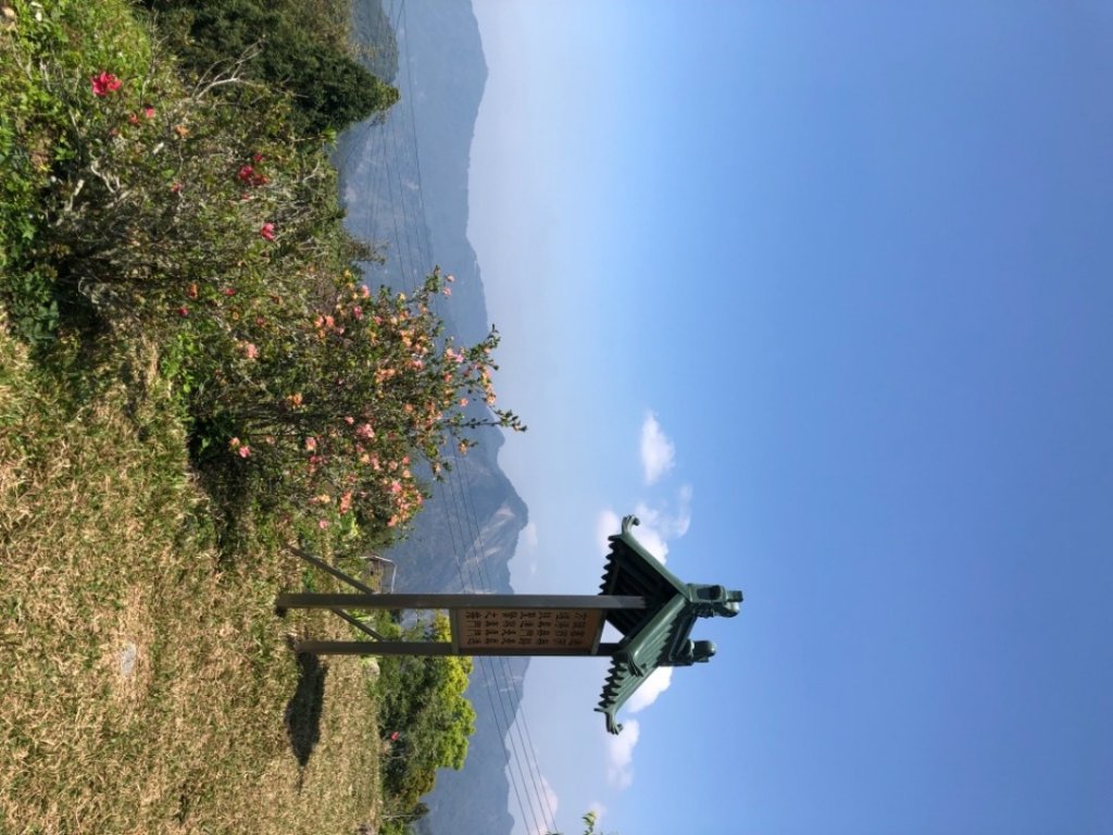 嘉義縣番路鄉彌陀禪寺、隙頂遠眺二延平山、隙頂山。春遊賞花_1636999