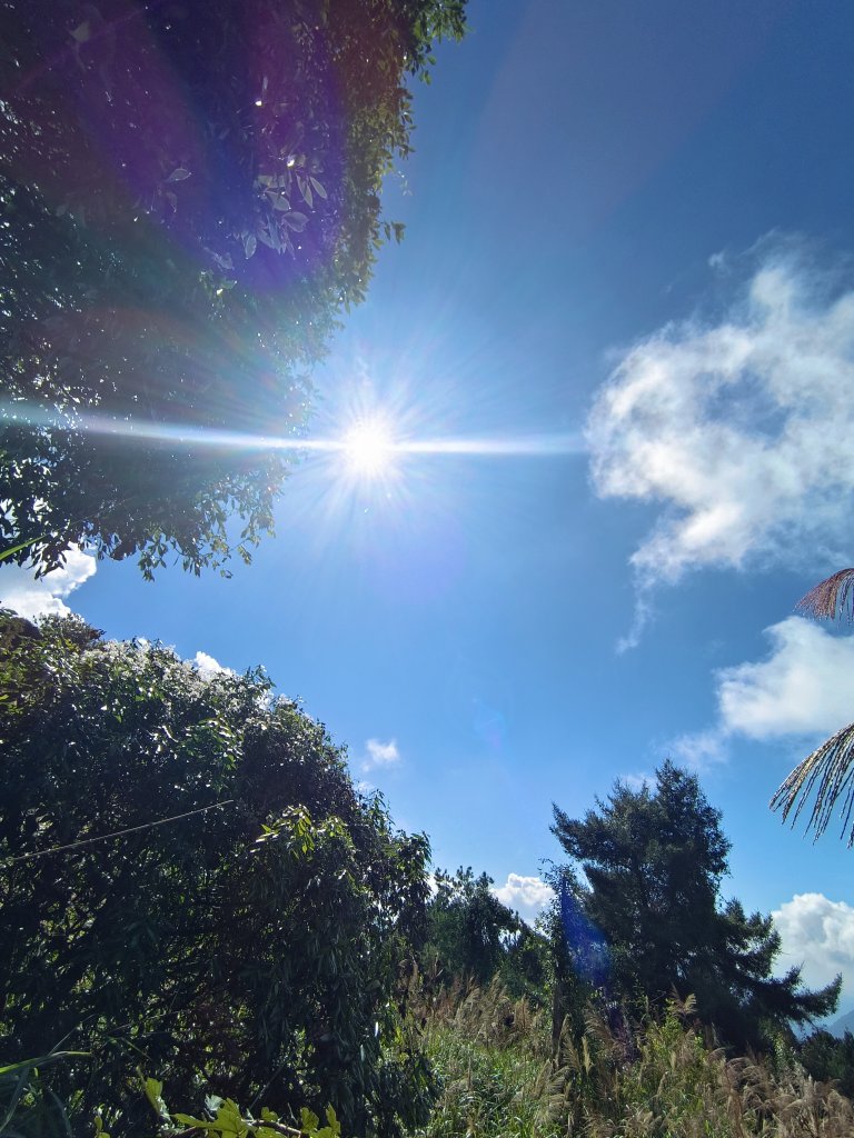 馬崙山之美_2339988