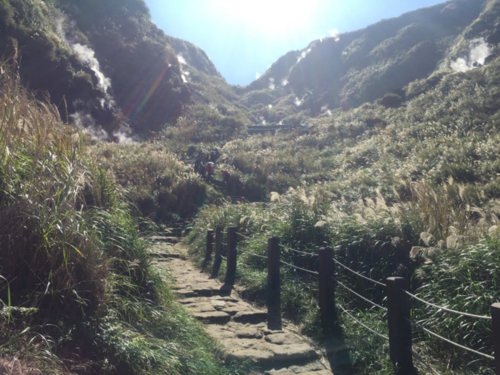 毛孩米奶登山去-七星山主峰、東峰_737987