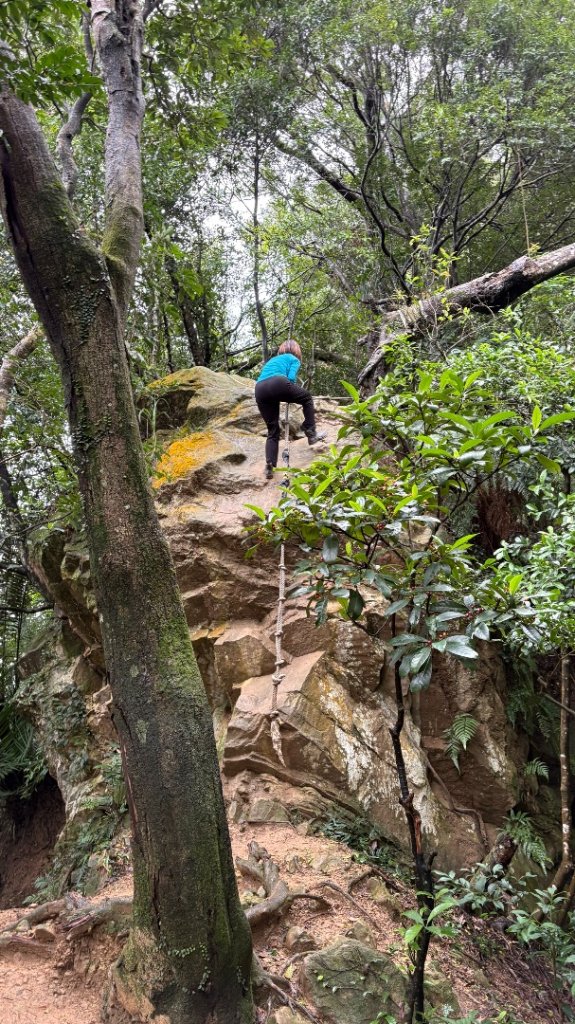 迎新（2026元旦_2975554