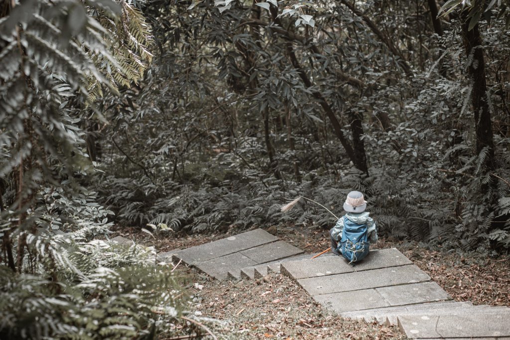 菅芒浪白｜五分山_2356479