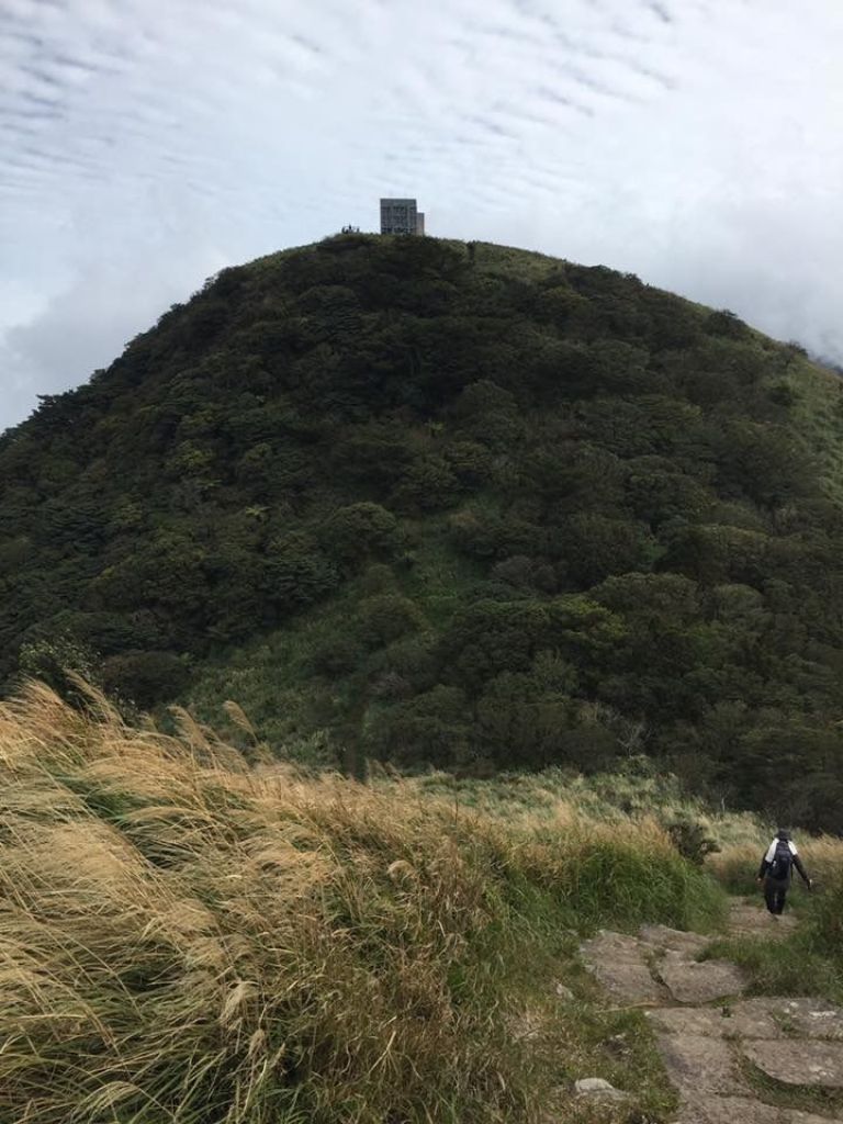 面天山向天山景點_333785