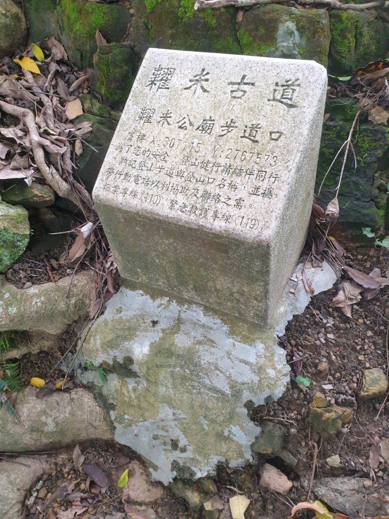 臺北大縱走第六段_1516185