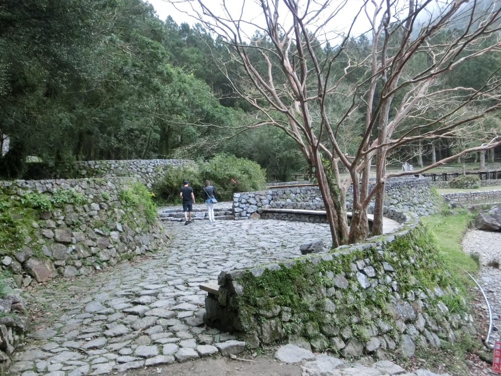 棲蘭山莊．神木園．明池_93510