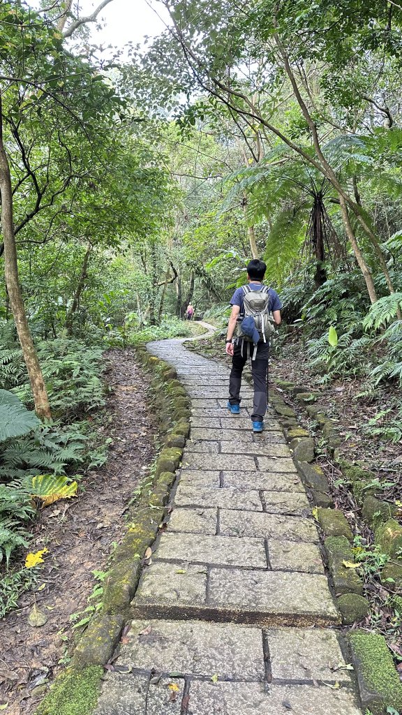 台北縱走第六段之不完整版～ 中華科技大學至和興碳坑_2391200