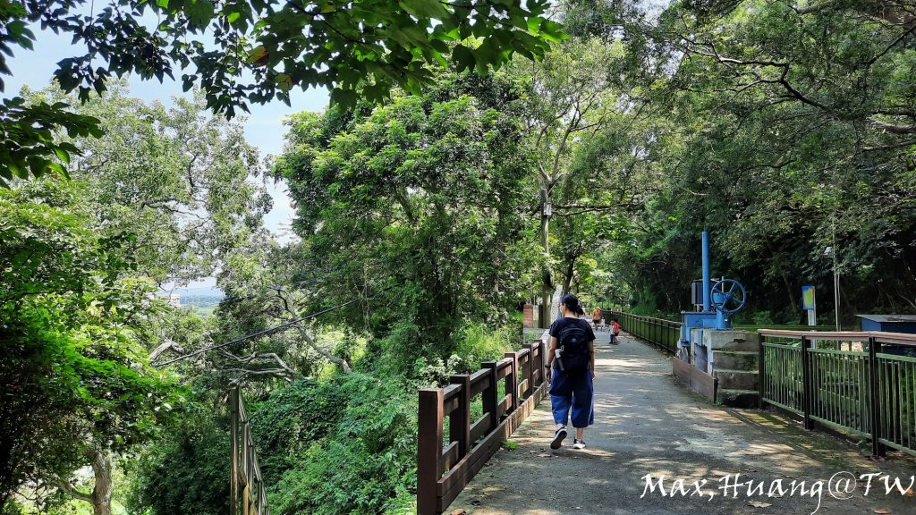 《台中》水向東流｜外埔水流東桐花步道20230916_2284239