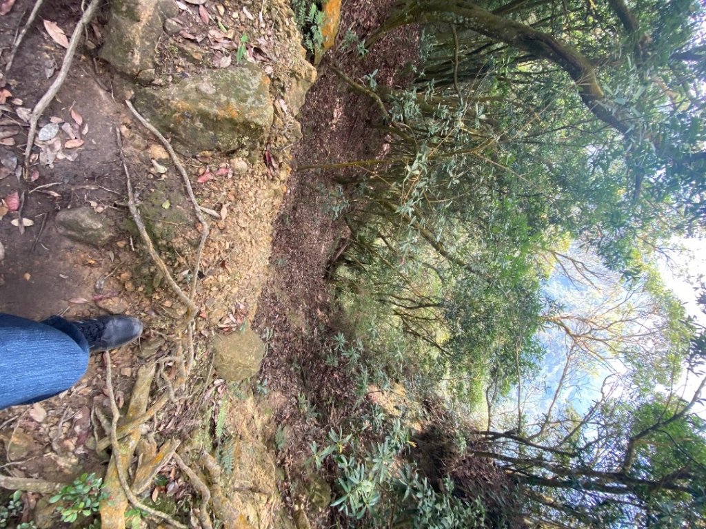 033仙山(神仙縱走）_2604251