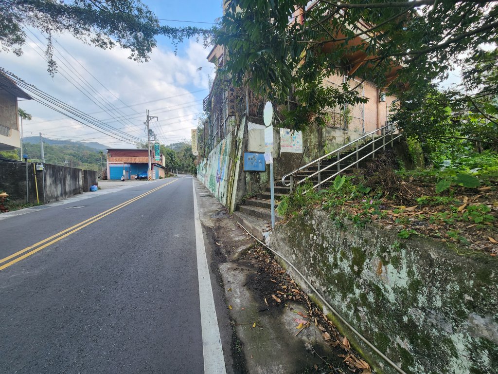 2026022面桶寮山小分林山大分林山_3013048