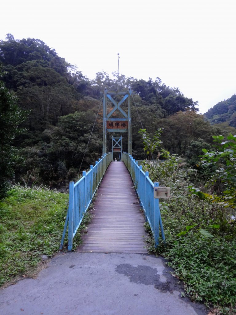 太平山翠峰湖環山步道_1743619