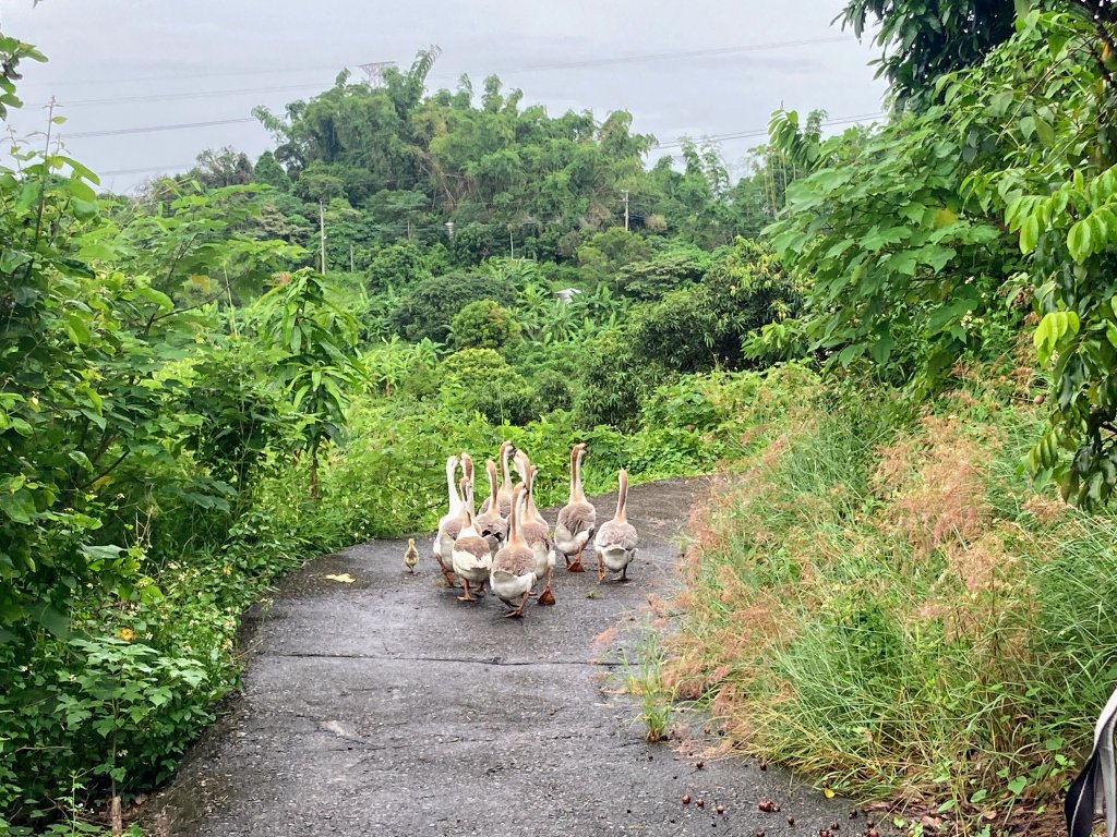 阿罩霧山_2600960