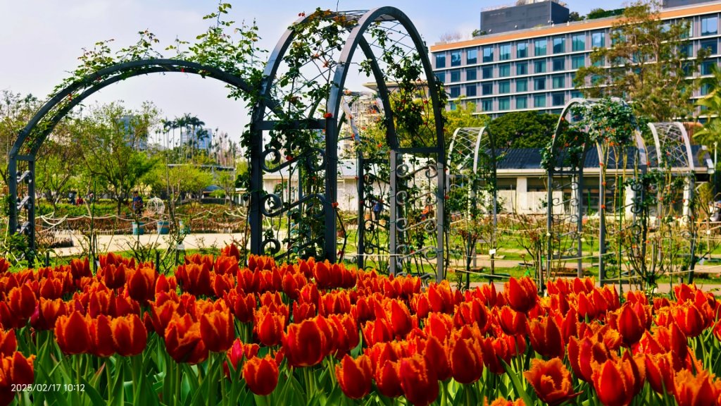 翡翠水庫壩頂&士林官邸鬱金香 2/17_2714050