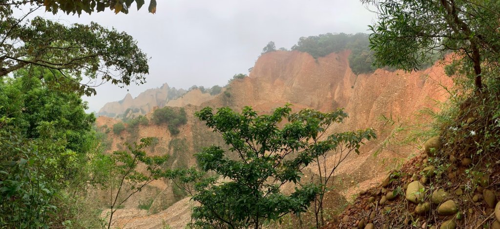 20250426苗栗火炎山_2772826