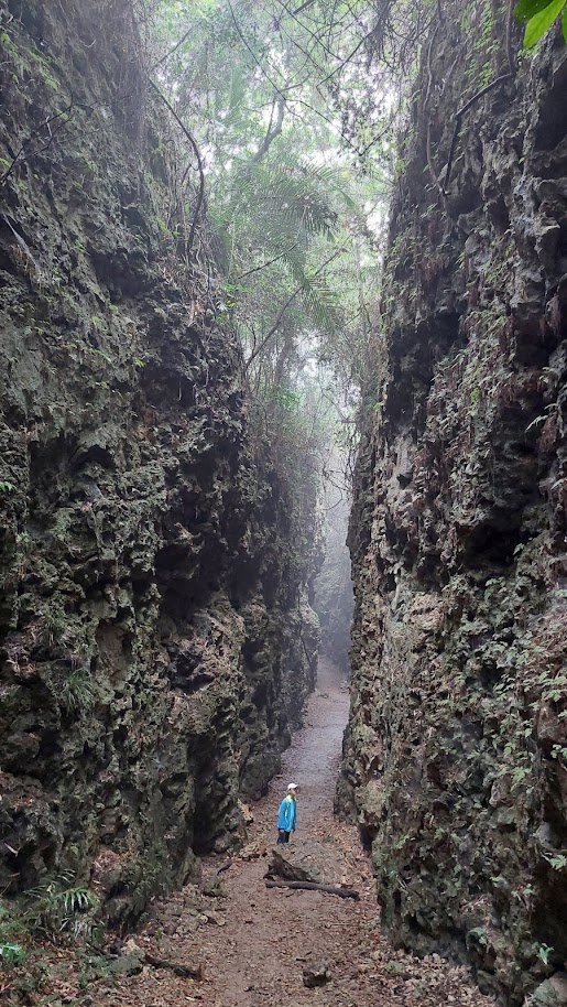 大崗山盤龍峽谷步道封面圖