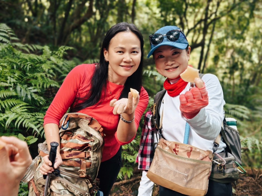 東勢大崙、東勢坑山、觀音湖山O走_2986292