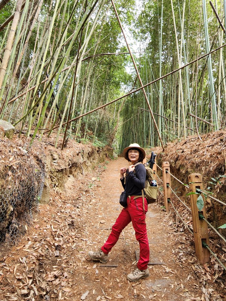 112/2/11芝生毛台山、屯野生炮台_2148009