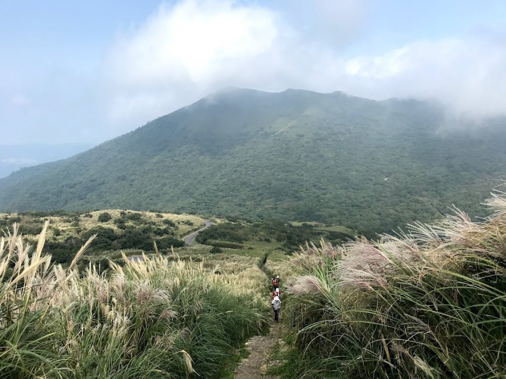 陽明山東西大縱走20191012_1968269
