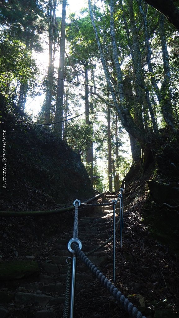 《苗栗》遺世鐵道｜悠遊加里山大坪支線至避難山屋20250822_2867497