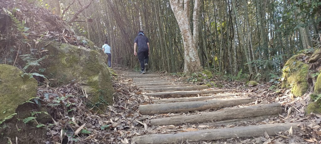 20220312_馬那邦山 細道邦山南峰 細道邦山_1637050