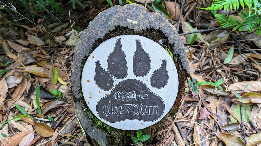 和美山,小獅山_2472085