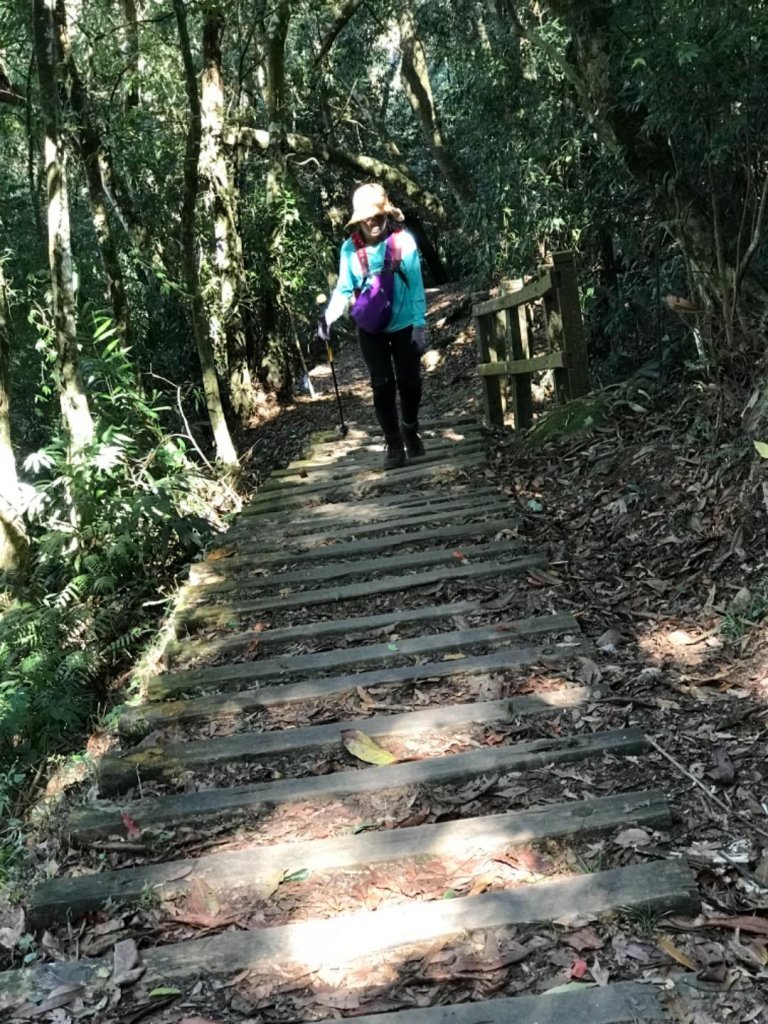 細道邦山 馬那邦山_464868