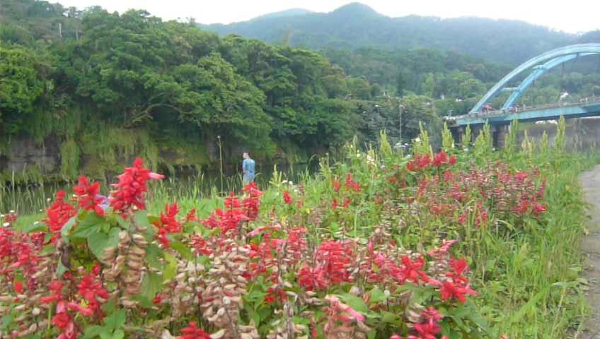 金瓜寮魚蕨步道_962400