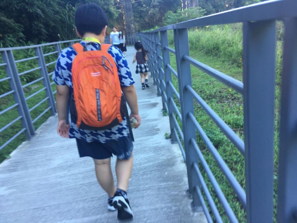 開啟征服步道的第一步_372604