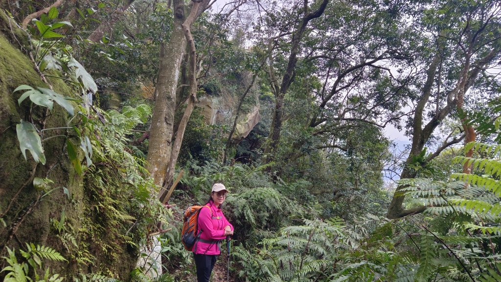 (姨婆趴趴走)第四十七集:新北土城大暖坑山等諸峰攀登連走_2738800