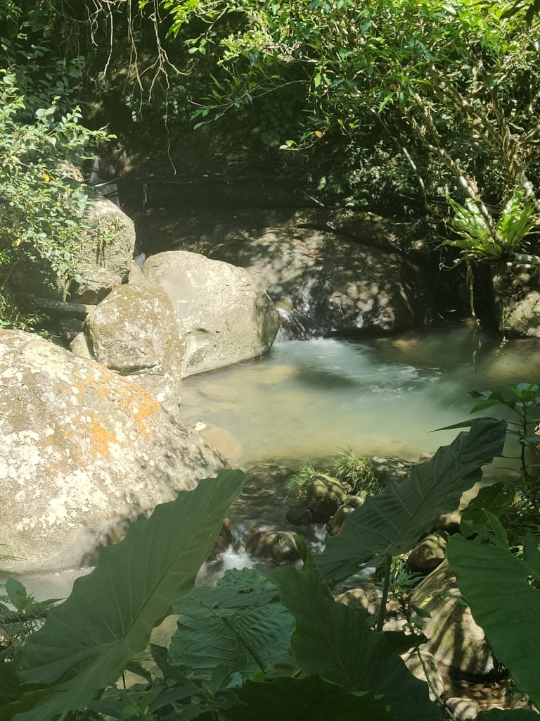 馬胎古道_1774204