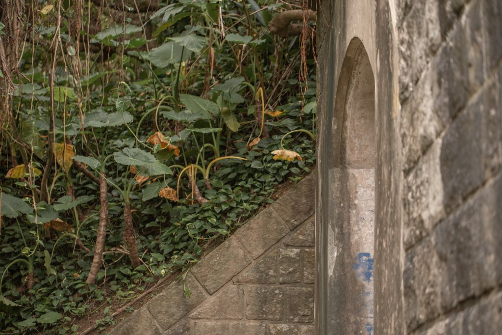基隆一日雙塔｜山、海、碼頭_2684412
