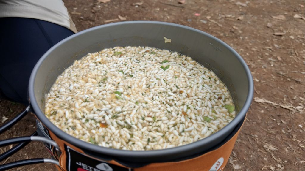 鵝公髻山之花_400789