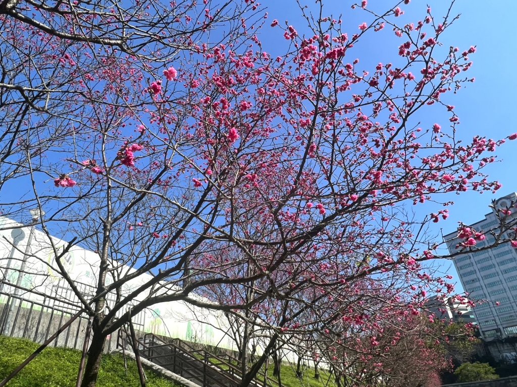 年輕人爬山趣～內溝山、老鷲尖山、翠湖 2/12 2023_2040352