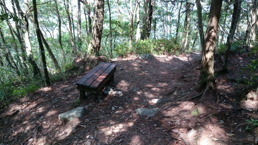 馬崙山, 2017/5/7_137609