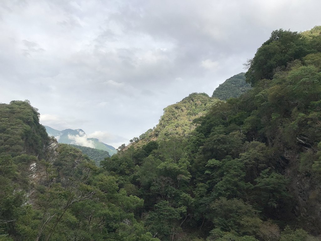 ~  白楊步道  ~_1454907